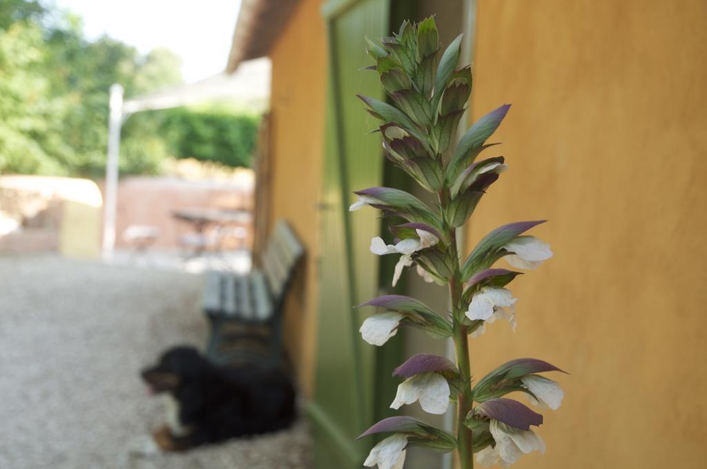 Le Petit Bacalan Villa Mormoiron ห้อง รูปภาพ