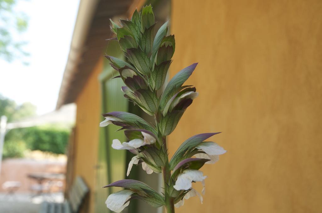 Le Petit Bacalan Villa Mormoiron ภายนอก รูปภาพ